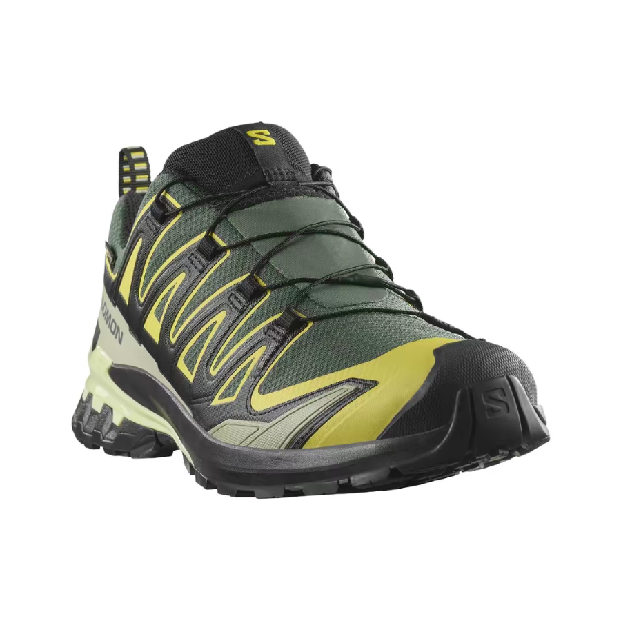 Salomon XA Pro 3D V9 GTX: Sepa - Salomon Shoes Xa Pro 3D ulasan dan harga