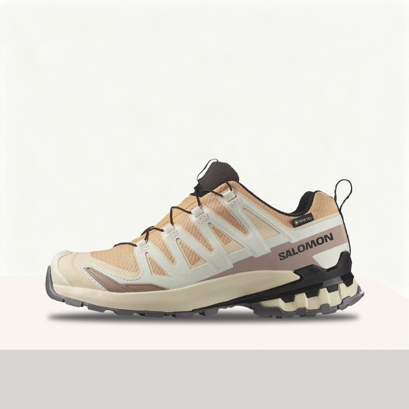 Salomon XA Pro 3D V9 GTX: Sepa - Salomon Shoes Xa Pro 3D ulasan dan harga