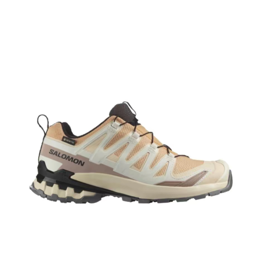 Salomon XA Pro 3D V9 GTX: Sepa - Salomon Shoes Xa Pro 3D ulasan dan harga