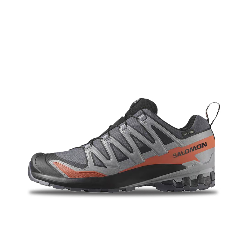 Salomon XA Pro 3D V9 GTX: Sepa - Salomon Shoes Xa Pro 3D ulasan dan harga