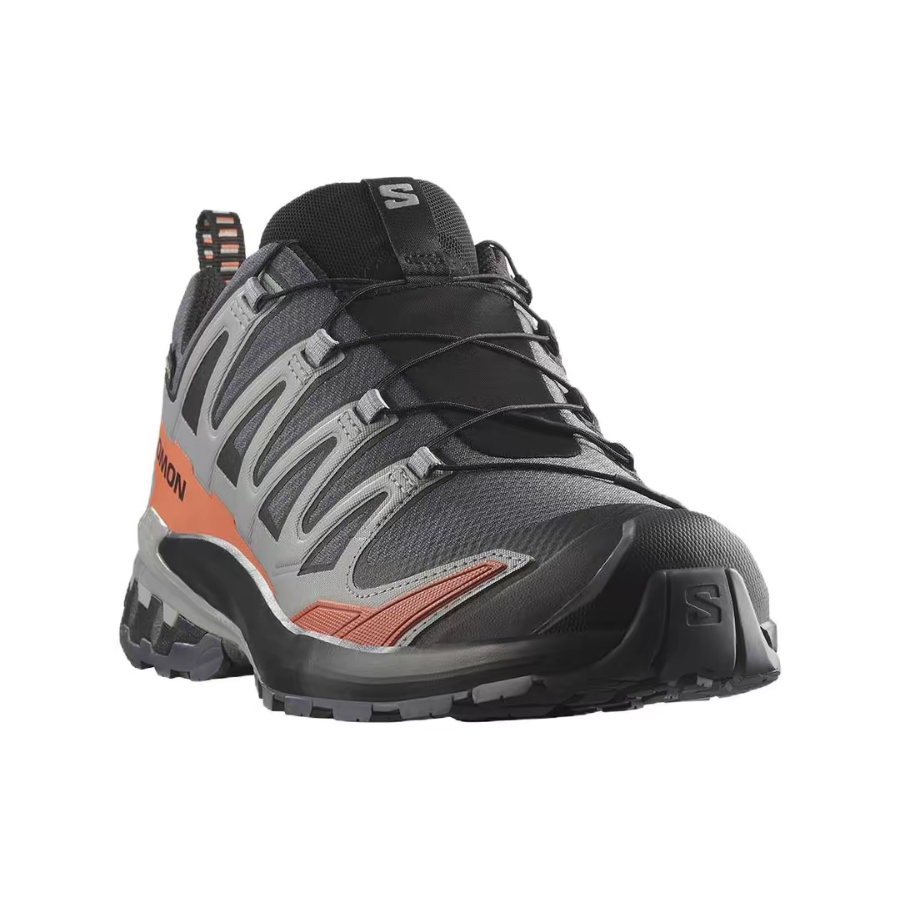 Salomon XA Pro 3D V9 GTX: Sepa - Salomon Shoes Xa Pro 3D ulasan dan harga